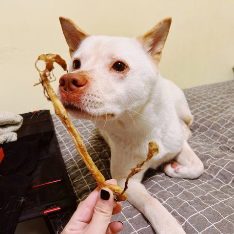 Air-dried Lamb Pizzle