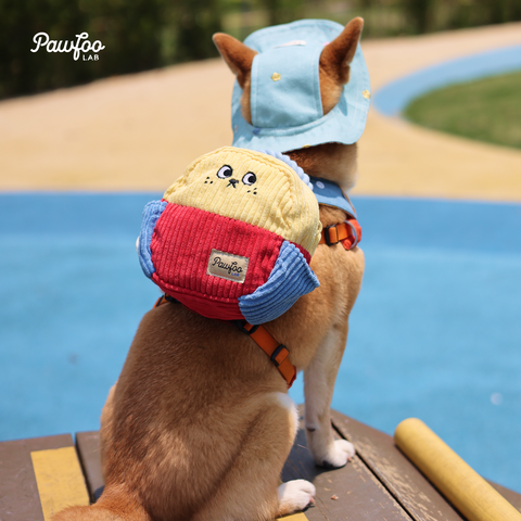 Bark-n-Seek Dog Backpack Toy