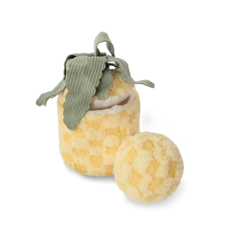 PINEAPPLE POP - Bouncy + Crinkly Toy