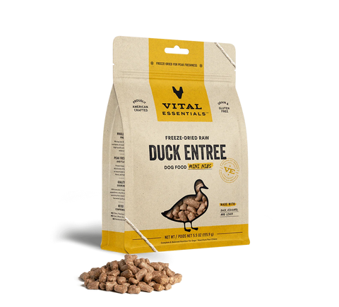 Freeze-Dried Food