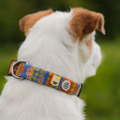 Woolly Wolf Nightless Night Collar