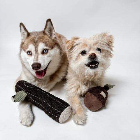 Fire Log Squeaky Dog Toy