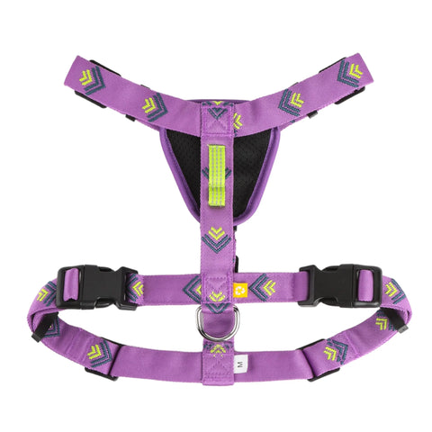 Northern Lights Harness