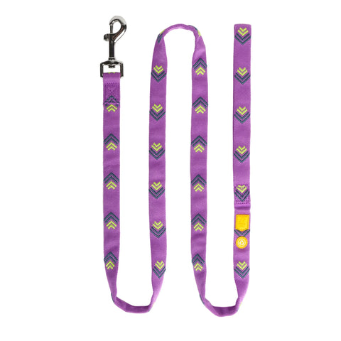 Northern Lights Leash