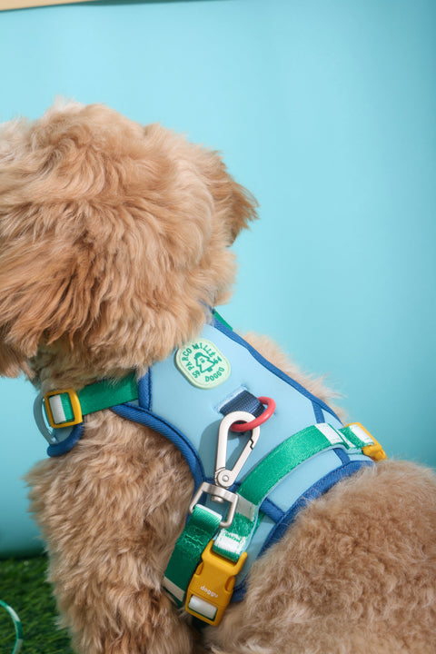 Doggu Parco Millé Summer Camp Harness & Leash Set