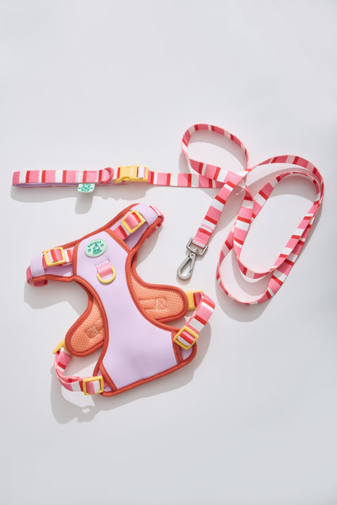 Doggu Parco Millé Summer Camp Harness & Leash Set