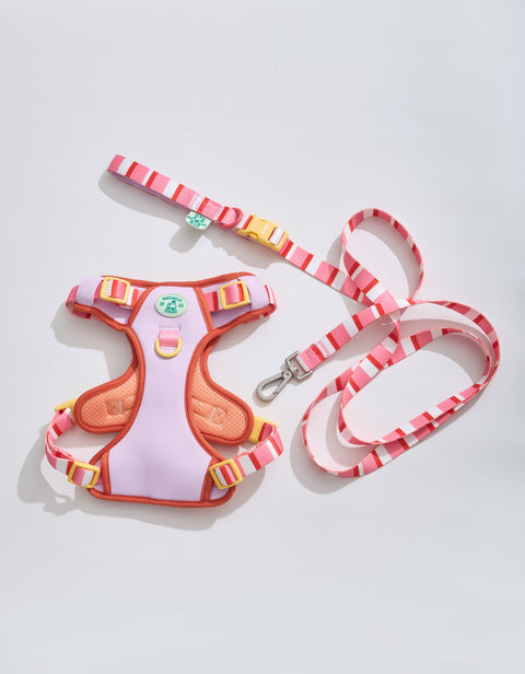 Doggu Parco Millé Summer Camp Harness & Leash Set