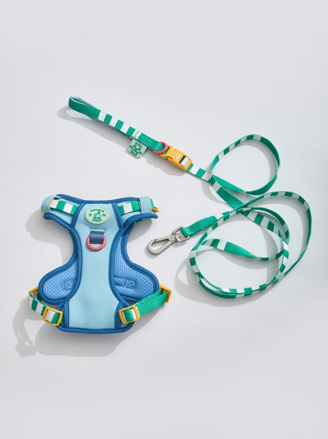 Doggu Parco Millé Summer Camp Harness & Leash Set
