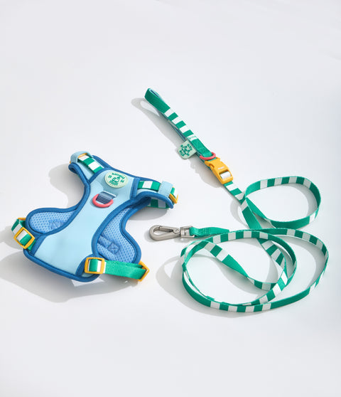 Doggu Parco Millé Summer Camp Harness & Leash Set