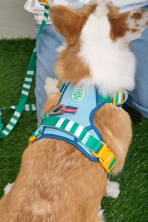 Doggu Parco Millé Summer Camp Harness & Leash Set
