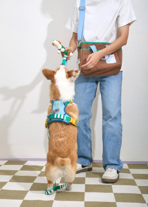 Doggu Parco Millé Summer Camp Harness & Leash Set