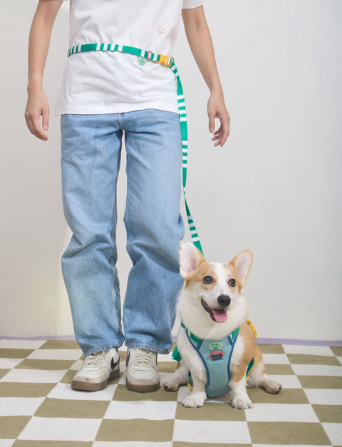 Doggu Parco Millé Summer Camp Harness & Leash Set