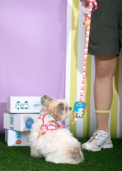 Doggu Parco Millé Summer Camp Harness & Leash Set