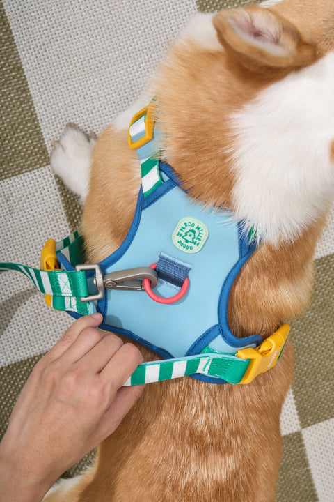 Doggu Parco Millé Summer Camp Harness & Leash Set