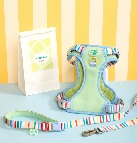 Doggu Parco Millé Summer Camp Harness & Leash Set