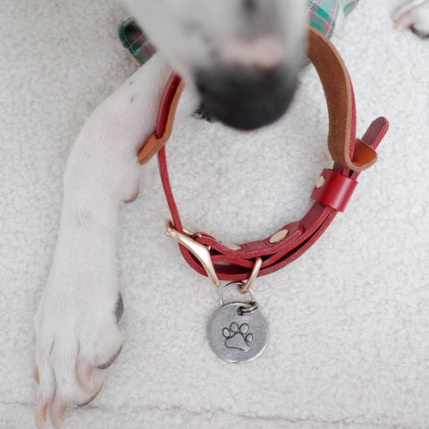 Pet ID Name Tag