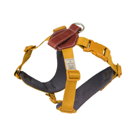 Dog Harness