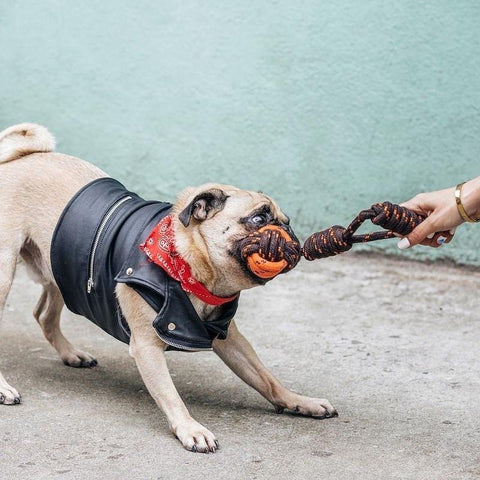 Tug Ball Rope Toy - Petisan