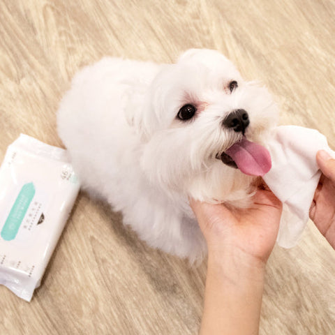 Wet Wipes
