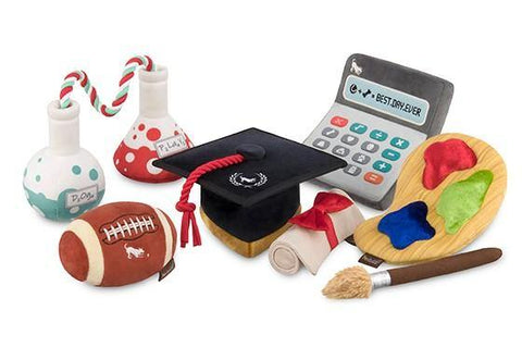 Back to School Collection - Petisan