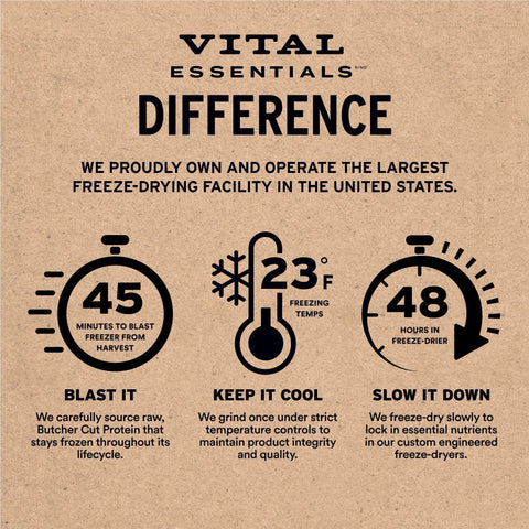 Vital Essentials - Freeze Dried Raw Dog Treats - Minnows