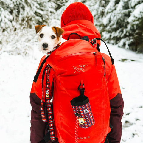 Polar Night Dog Collar