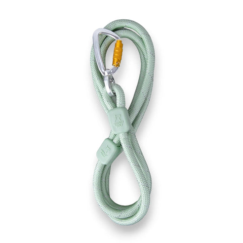 Rope Leash Glacier Green