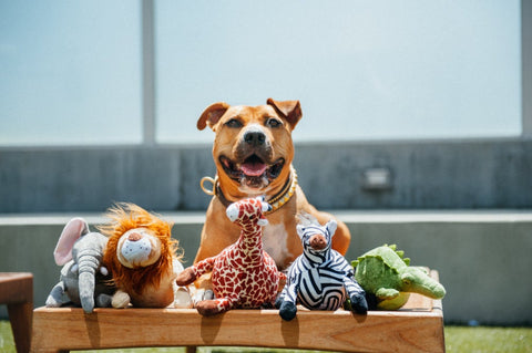 Dog Plush Toy - Safari Collection