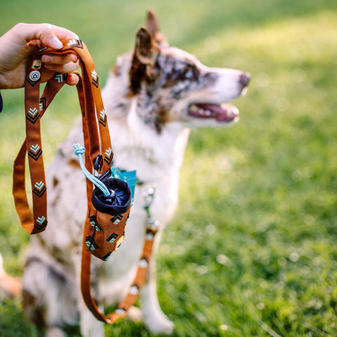 Woolly Wolf Sea to Summit Dog Poop Bag Holder