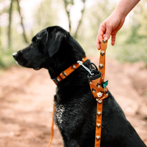 Woolly Wolf Sea to Summit Dog Poop Bag Holder