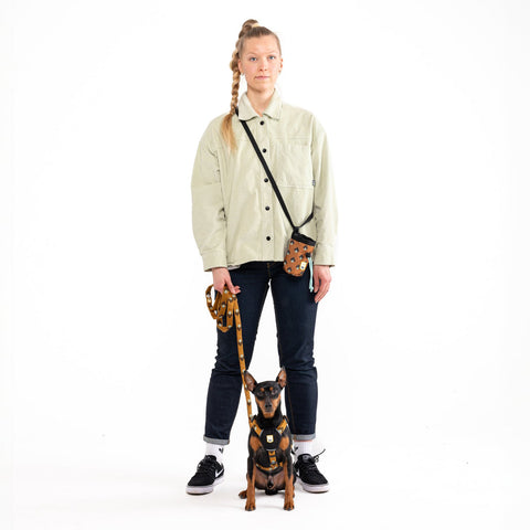 Sea to Summit Harness Brown