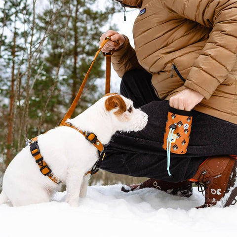 Woolly Wolf Sea to Summit Dog Snack Bag