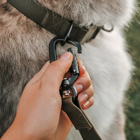 MELLEM X wide - all weather convertible leash