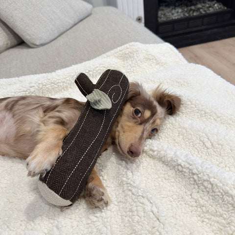 Fire Log Squeaky Dog Toy
