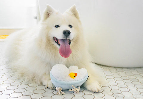 Dog Plush Toy - Splish Splash - Rub-a-Dub Tub