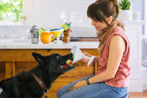 Dog Plush Toy - Barktender - Martini