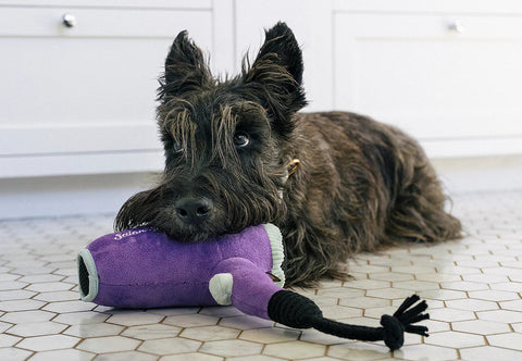 Dog Plush Toy - Splish Splash - Howlin’ Hair Dryer