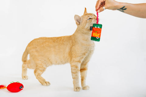 P.L.A.Y. Feline Frenzy - 番茄豆貓薄荷玩具