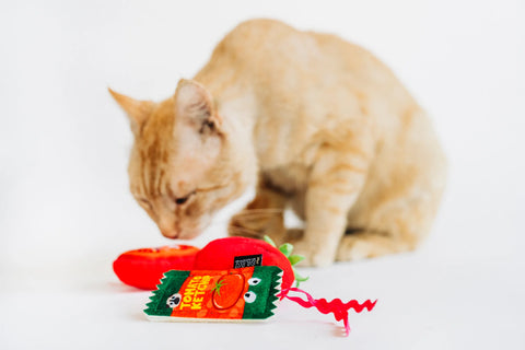 P.L.A.Y. Feline Frenzy - 番茄豆貓薄荷玩具