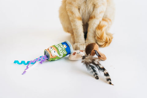 P.L.A.Y. Feline Frenzy - 完美真菌貓薄荷玩具