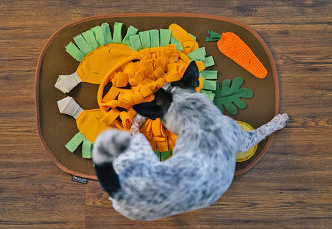 Snuffle Mat - Turkey Feast