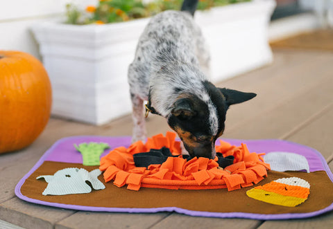 Snuffle Mat - Halloween