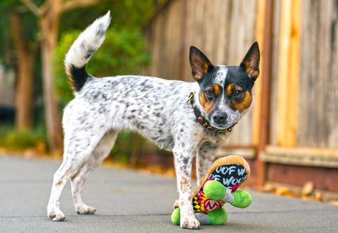 Dog Plush Toy -  90s Classic - Skateboard