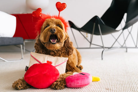 Dog Plush Toy - Love Bug Collection
