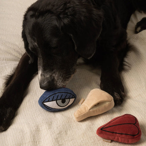 PICASSO - snuffle + squeaky