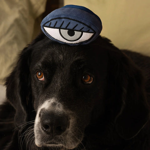 PICASSO - snuffle + squeaky
