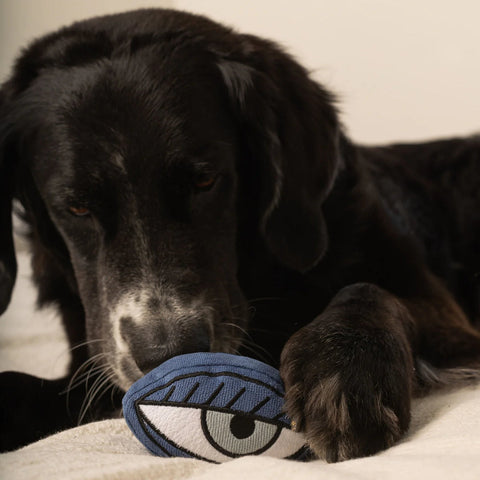 PICASSO - snuffle + squeaky