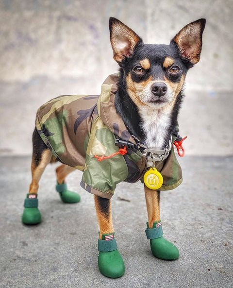 Dog Boots - WagWellies™ (1 pair of 2)