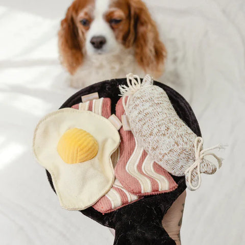 BFAST SET - snuffle + burrow toy