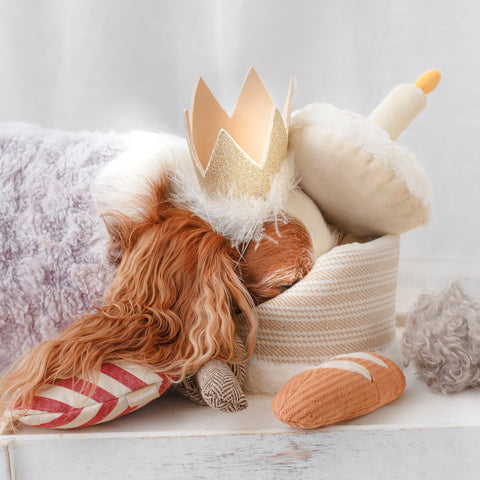 Birthday Cake Burrow + Squeaky Dog Toy